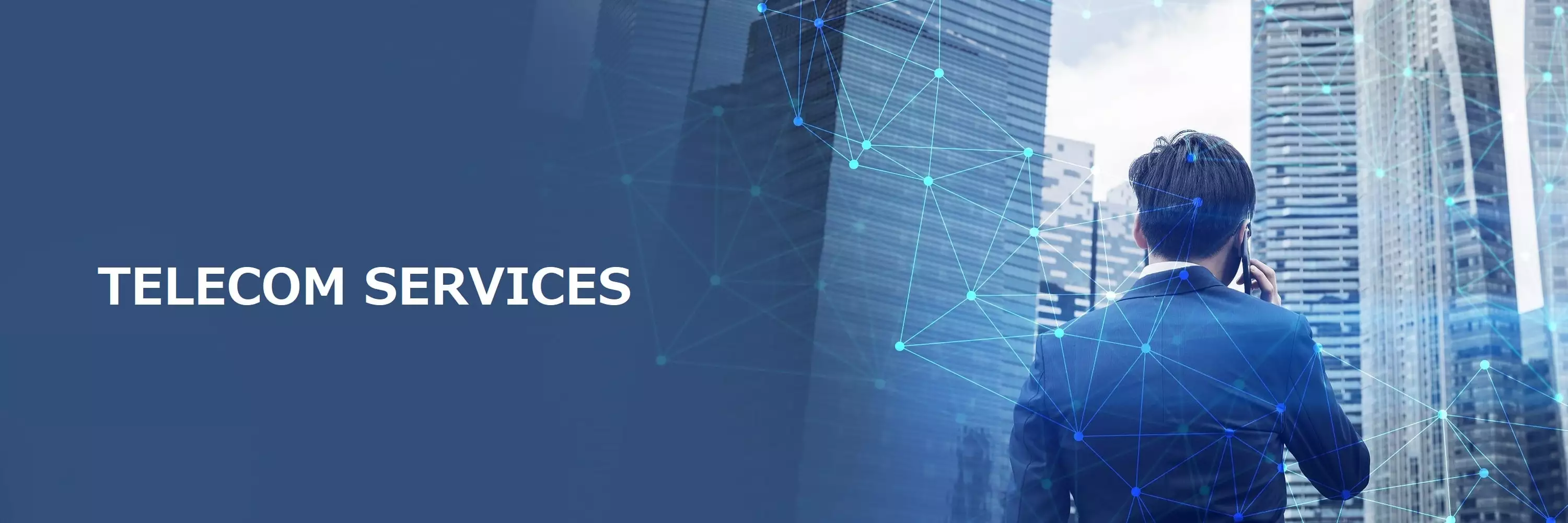 TELECOMBANNER